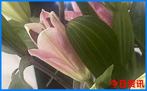 河南游玩的地方排行榜前十名